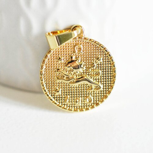 Pendentif médaille ronde lion acier doré,signe astrologique, pendentif doré,sans nickel,laiton doré, création bijoux,médaille or,2.9cm-g521