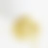 Sable pépite verre doré, chips mineral,verre coloré,verre or,pierre verre,création bijoux,sable aquarium,2-3mm,sachet 10 grammes g846