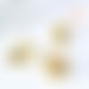 Pendentif coquillage cauri doré 15-20mm 1 trou, pendentif bijoux coquillage naturel lot de 5 g7243