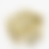 Pendentif coquillage cauri doré clair fermé,coquillage naturel,cauri doré,coquillage bijou,coquillage or,18mm,1 trou, lot de 5,g2851