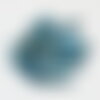 Perle dent coquillage naturel bleu 22-35mm,nacre beige,coquillage naturel, x10 (g5901)