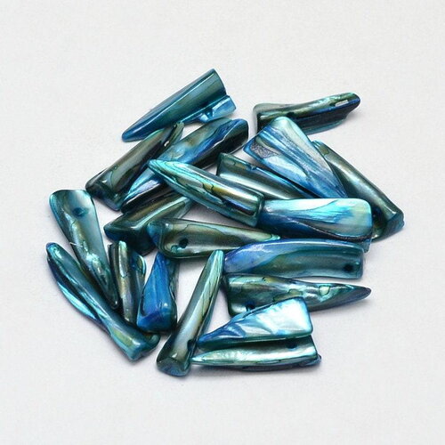 Perle dent coquillage naturel bleu 22-35mm,nacre beige,coquillage naturel, x10 (g5901)
