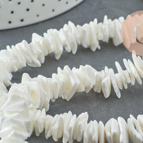 Perles coquillage naturel chips blanc, des perles en coquillage blanc ,6~12mm, le fil de 41 cm, x1 g3867