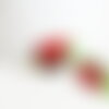 Pendentif pastèque fruit rouge verre tchèque 15-19mm, x5 (g4234)