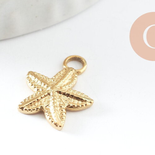 Pendentif étoile de mer acier 304 inoxydable doré ip 15.5mm, x2 (g9855)