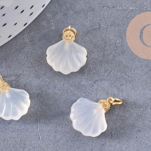 Pendentif coquillage agate naturelle blanche doré 14k 17.5mm, x1 (g10395)