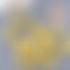 Perles chips de coquillage naturel jaune, 20mm,le fil 76cm, x1 (g8049)