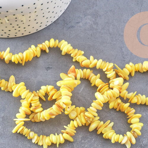 Perles chips de coquillage naturel jaune, 20mm,le fil 76cm, x1 (g8049)