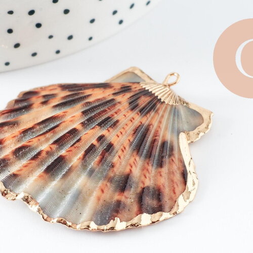 Pendentif coquillage naturel coque doré léopard 41-55mm, pendentif doré pour création bijoux or, x1 g1735
