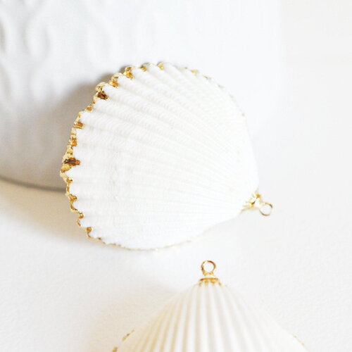 Pendentif coquillage naturel coque doré, fourniture créative, pendentif doré, création bijoux, coquillage bijou,coquillage or,42mm-g873
