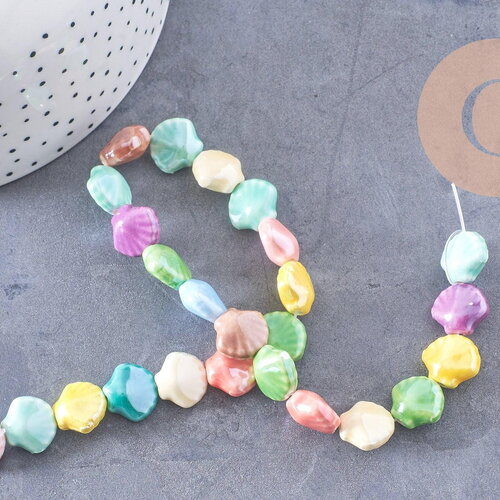 Perles coquillage porcelaine multicolore 13.5mm, x1 fil de 30cm (g10324)