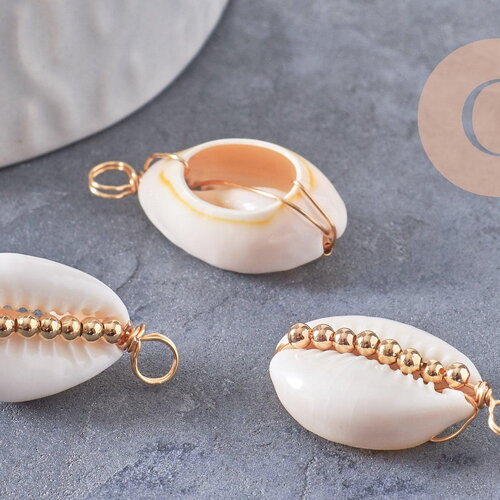 Pendentif coquillages cauri blanc naturels perles &amp; fil dorés 24-30mm, x2 (g10318)