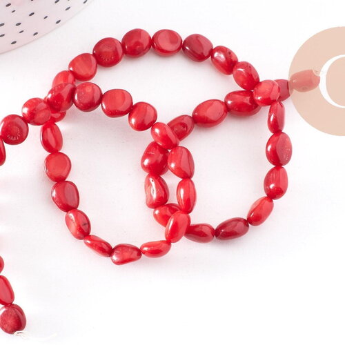 Perle ovale corail rouge, perles corail, corail rouge,corail naturel, fil 40cm,6-12mm, x1 (g1827)