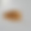 Sable coquillage beige naturel taille aléatoire, x20gr (g0258)