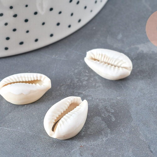 Pendentif perle coquillage cauri resine blanc 19mm, x5 (g5403)