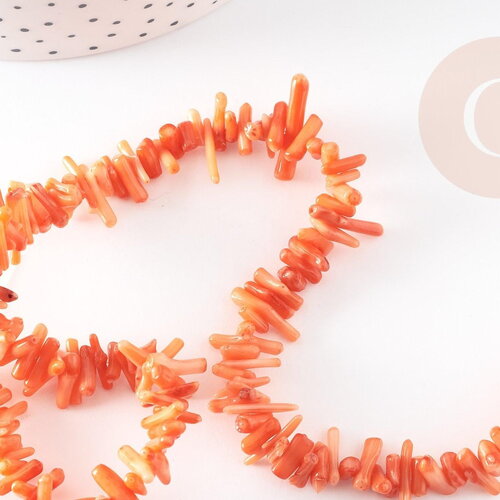 Perles en corail orange, corail naturel, perle coquillage orange, fil de 38cm, x1 (g6747)