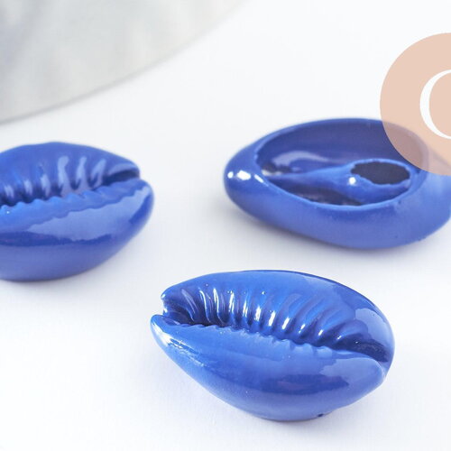 Pendentif coquillage cauri bleu,coquillage naturel,cauri bleu,15mm, x5 (g0366)