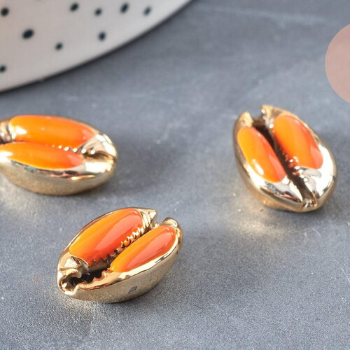 Pendentif coquillage cauri naturel doré resine orange19mm, x5 (g4406)