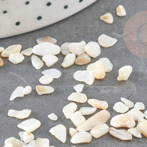 Sable chips coquillage nacre naturelle 4-14mm, x20gr (g9308)