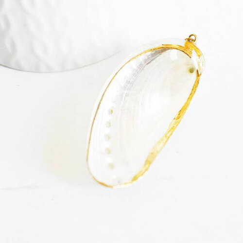 Coquillage naturel blanc doré 53-70mm,pendentif argent création bijoux, x1 (g2086)