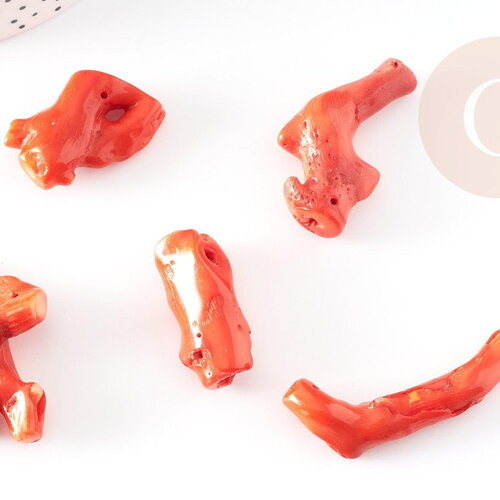 Branche corail naturel rouge orange percée perles coquillage x1 (g0594)