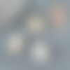 Coquillages cauris ouverts 15mm, coquillages naturels,création bijoux plage,vacances, x10 ou x50 (g2033)