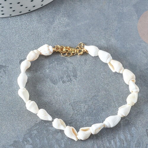 Bracelet coquillages naturels blancs laiton doré 19,5cm, idée cadeau bijoux coquillage naturel, x1 g7803