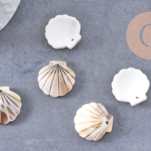 Pendentif coquillage acétate blanc crème 18.5mm, x1 (g10406)