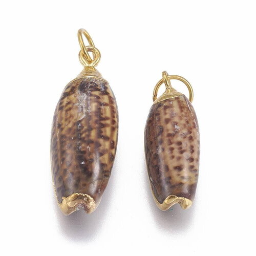 Pendentif coquillage naturel spirale doré, fourniture créative, doré, création bijoux, coquillage bijou,coquillage or,21-31mm g5131