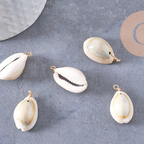 Pendentif coquillages cauri naturel beige fil doré torsadé 18k 24-32mm, x2 (g10319)