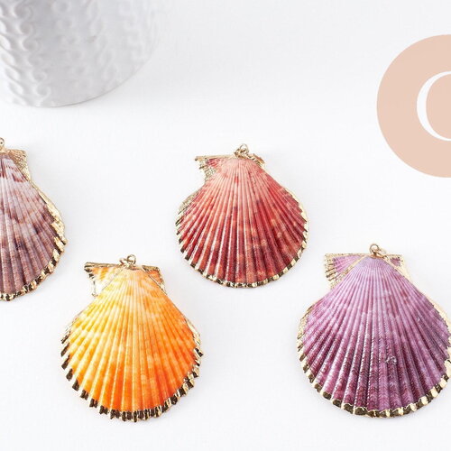 Pendentif coquillage naturel coque doré, pendentif doré, coquillage bijou,coquillage or,50mm x1 (g0933)