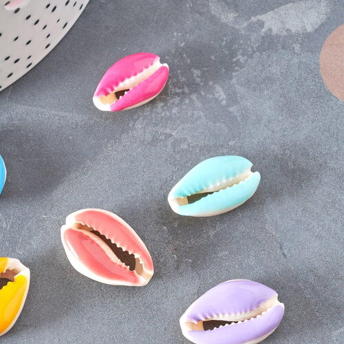 Pendentif coquillage cauri resine,coquillage naturel,cauri couleur,19mm, x5 (g0736)