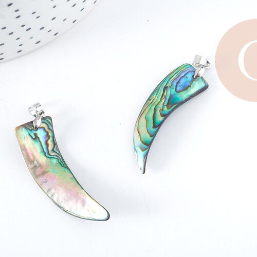 Pendentif dent nacre noire naturelle abalone laiton argenté 39-55mm, pendentif coquillage noir ormeau, x1 (g8905)