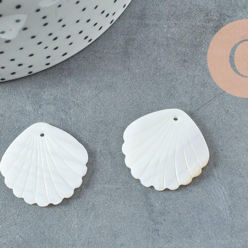 Pendentif coquillage nacre blanche naturelle 35mm, x2 (g9653)