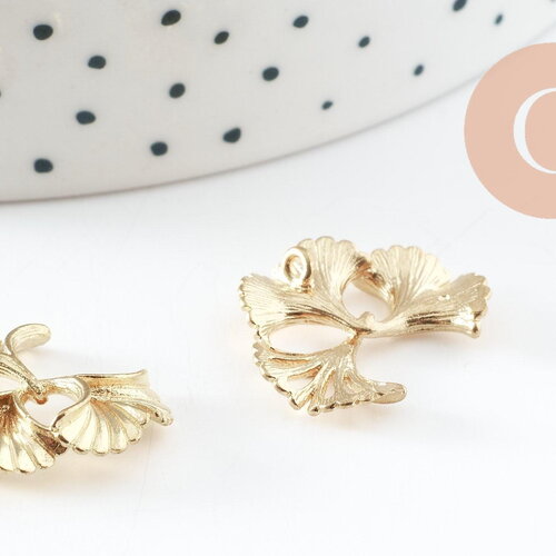 Pendentif feuilles gingko laiton,breloque laiton brut, bijou laiton,feuille gingko, bijoux,pendentif laiton brut 20mm, x2 (g4558)