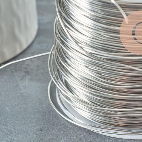 Fil d'acier 304 inoxydable platine argenté 0.7mm, x1 mètre (g9601)
