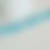 Perles en corail turquoise,perles corail, corail naturel,perle coquillage,coquillage bleu,fil 38cm x1 (g0986)