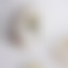 Pendentif rond nacre palmier, pendentif palmier,coquillage blanc naturel,16mm,1 trou, x 5 (g0833)