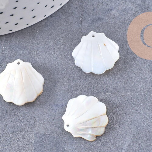 Pendentif coquillage nacre blanche naturelle irisée 21mm, x2 (g10224)