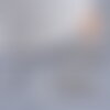 Grand tubes platine 35mm, x50 (7.10gr) (g2800)