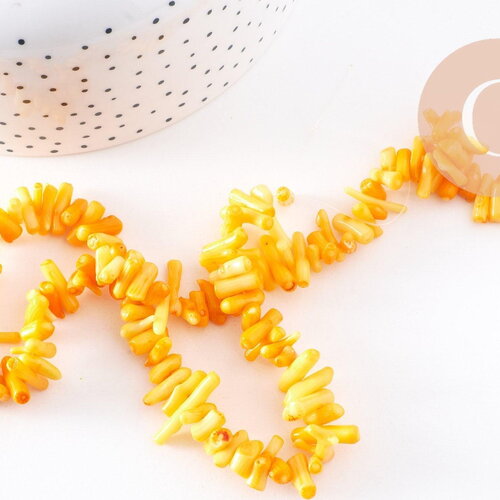 Perles en corail jaune safran, corail naturel, coquillage jaune,4-18mm, fil de 42cm, x1 (g4588)
