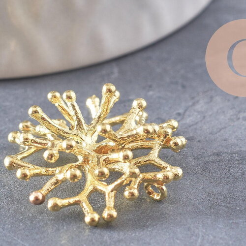 Pendentif corail laiton doré 30mm,pendentif coquillage, laiton doré, pendentif corail,création bijoux, x1 (g5952)