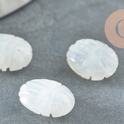Perle scarabée pierre de lune naturel aaa 13mm, perle création bijou talisman pierre naturelle x1 - g9232