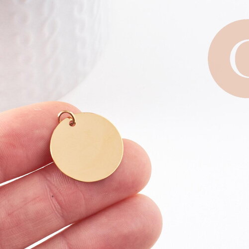 Pendentif médaille ronde acier ip 304 inoxydable doré/platine 20mm x1 (g10173)