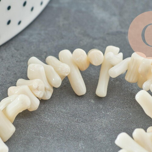 Perles en corail blanc,perles corail ,corail naturel,perle coquillage,coquillage blanc,fil 40cm, x1 g0985
