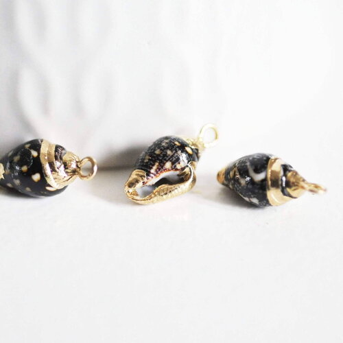 Pendentif coquillage noir spirale doré 16-20mm,création bijoux coquillage or, x2 g2675