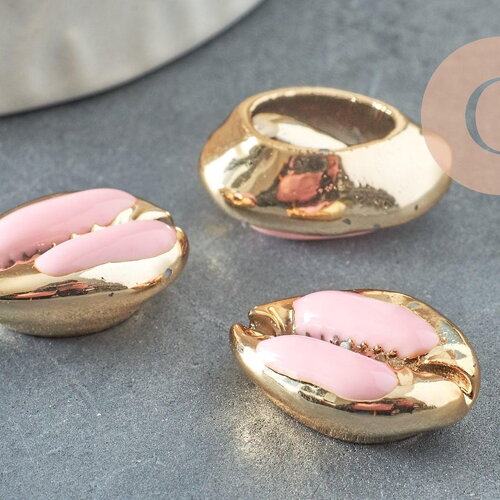Pendentif coquillage cauri naturel doré resine rose 19mm,coquillage naturel pour création bijoux, x5 (g1230)