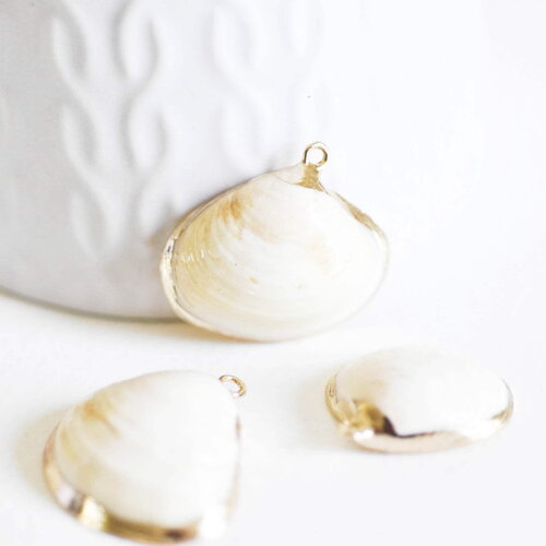 Pendentif coquillage naturel coque doré,pendentif doré, création bijoux, coquillage bijou,coquillage or,22-29mm, x 2-g1815