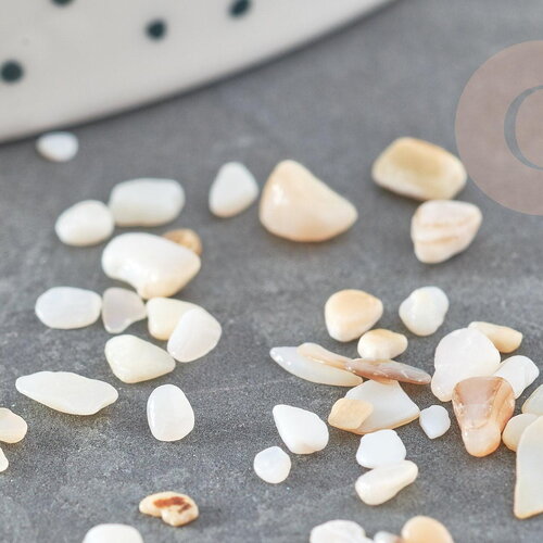 Sable chips coquillage nacre naturelle beige blanc 2-5mm, x20gr (g9309)