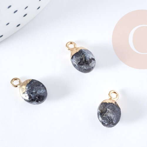 Pendentif goutte labradorite noire naturelle fer doré 14-15mm, x1 (g8697)